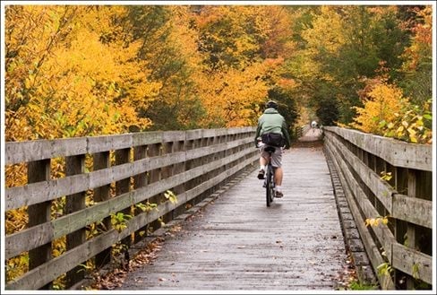 Person cycling on a wooden boardwalk bridge surrounded by autumn foliage in golden and green tones