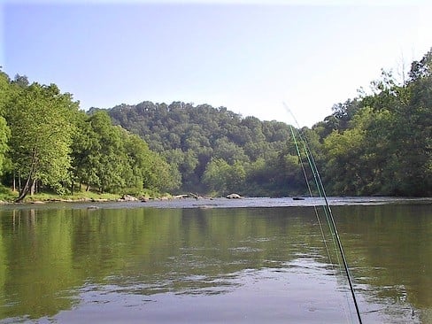 Fishing rod casting over a calm river with dense green trees lining both banks under clear sky