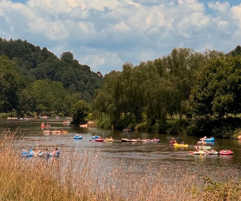 River scene with colorful boats moored near willow trees, surrounded by green forests and cloudy sky