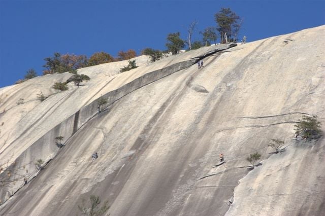 Steep white mineral terraces with scattered trees and sparse vegetation on a hillside under clear blue sky