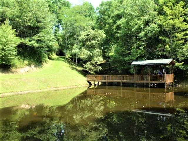 Wooden boathouse with dock on calm pond surrounded by lush green trees and grassy banks
