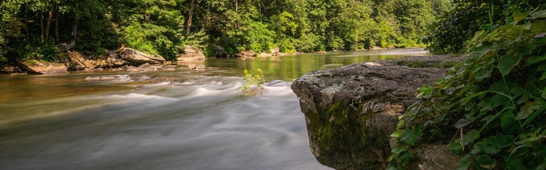 Flowing river with smooth water passing rocky outcrops surrounded by dense green forest foliage