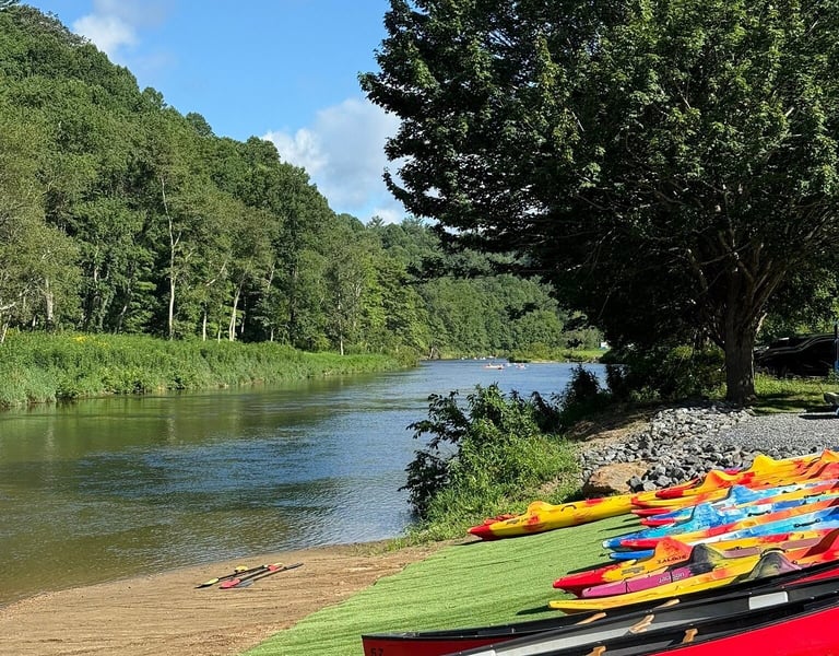Colorful kayaks lined up on grassy riverbank with calm water and dense green trees in background