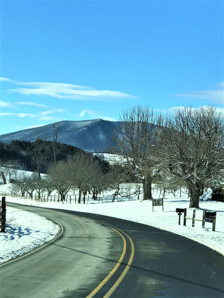 Curved paved road with yellow lines through snowy winter landscape with bare trees, fenced pasture, and distant snow-covered mountain under blue sky